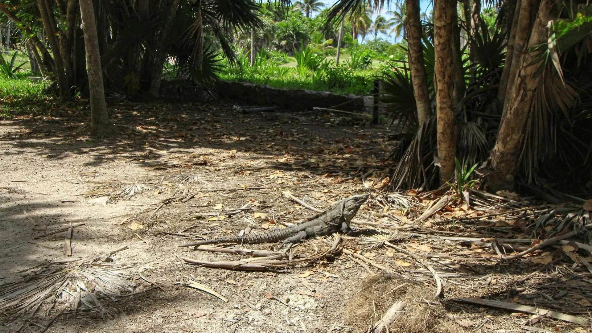 Apartment Anah Hunab 409 Sur 2 Recamaras Tulum